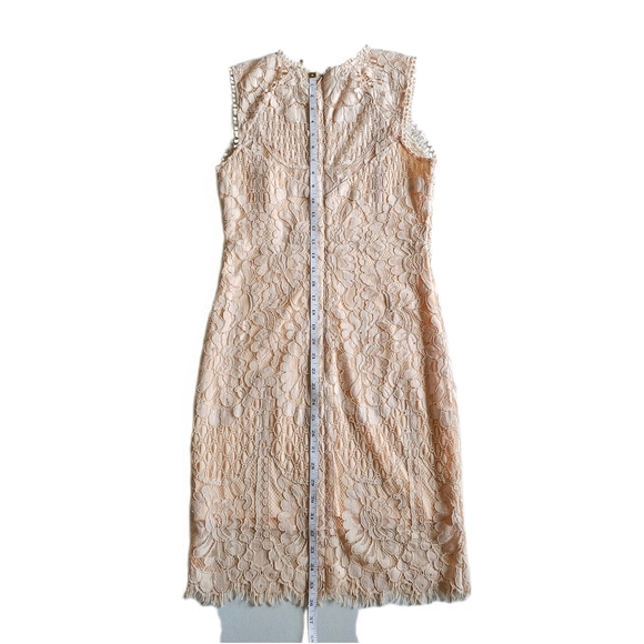 Main Strip Sleeveless Crochet Lace Knee Length Dress Cream Nude Womens - Picture 13 of 16